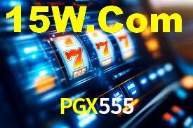 Experiência VIP PGX555