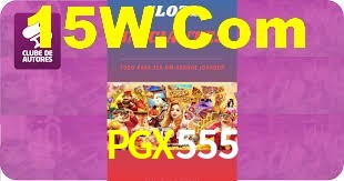 Premium Interface PGX555